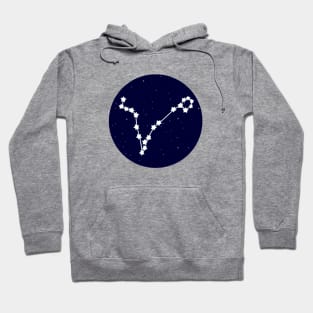 Pisces Zodiac Constellation Hoodie